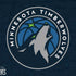 NBA Minnesota Timberwolves Distressed Nintendo 2DS XL (2017) Skin